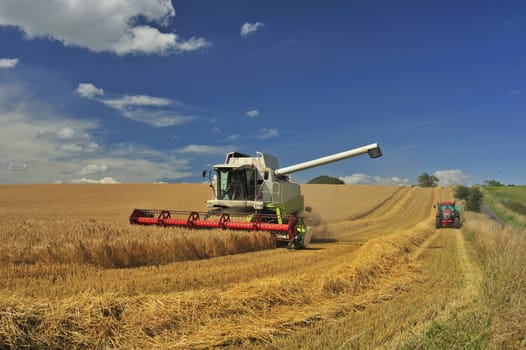 A combine harvester harvests wheat under a British summer sky. Space for text in the sky.