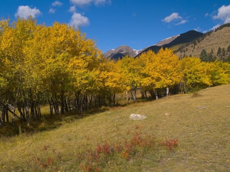 Horseshoe Park on the way to Endovalley picnic area - Rocky Mountain National Park