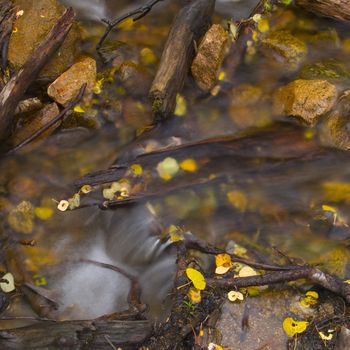 Autumn image of water, wood, stone, and leaves in a close up image of a stream in the Colorado Rockies.