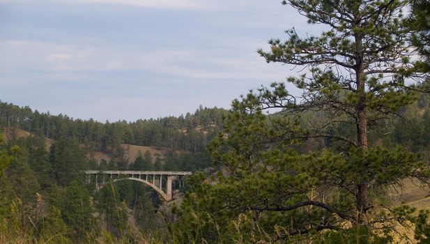Old  Beaver Creek bridge in Wind Cave National Park of the Black Hills of South Dakota,