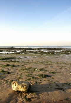 A view from Margate  beach in the late afternoon with a rock in the foreground