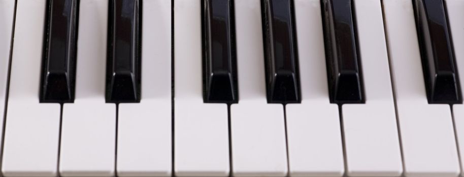 Keyboard of synthesizer close up of an octave of keys.