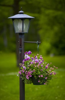 Lamppost and purple flowers against a green backdrop.