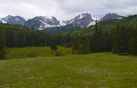Meadow under lush green mountainsides and snowcapped peaks in a Rocky Mountain Spring.