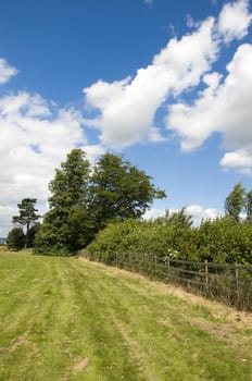 A view of a field in summer with trees a blue cloudy sky