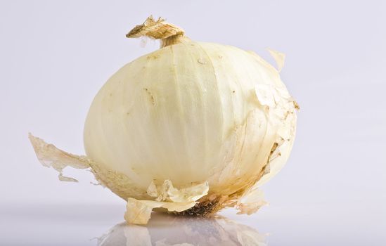 An onion on a white reflective surface.