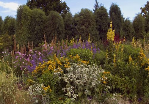 Perennial garden at the Denver Botanic Garden - Denver, Colorado