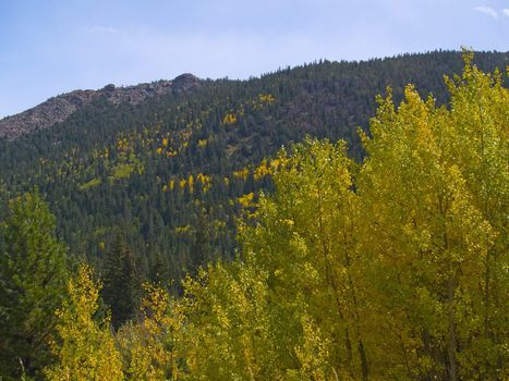 A September image of a mountainside in Colorado transforming into autumn colors.