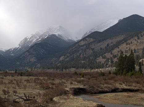 A fog envelops Rocky Mountain National Park.