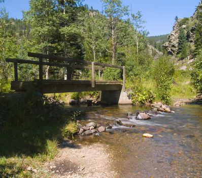 A forest bridge along the Dunraven Glade Trail in Colorado