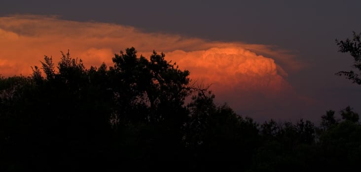 Thunderhead in a Summer sunset over  the tree tops.