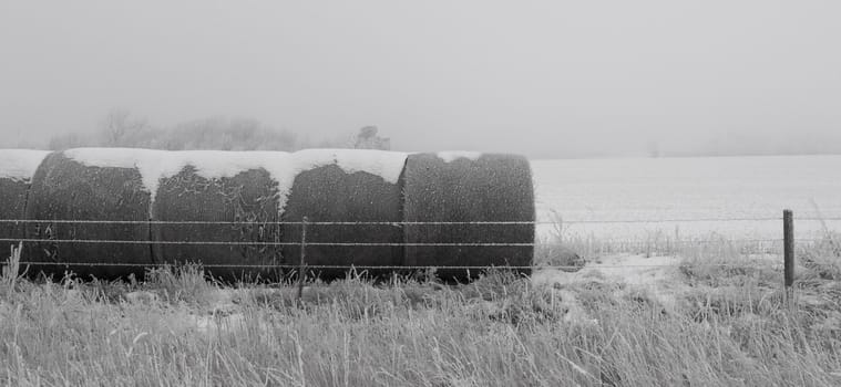 Hay bales on a frosty and foggy winter morning in rural South Dakota.