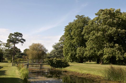 A stream in summer in the countryside