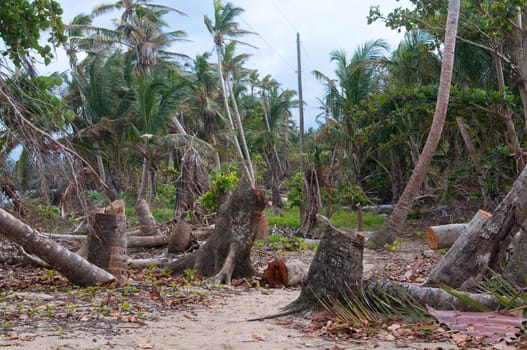 the picture of the consequences of the carribean storm on the little corn island