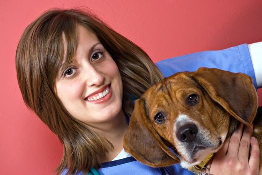 A veterinarian holding a beagle dog isolated over a red background.