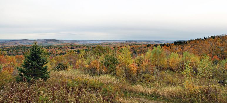 A panoramic view of Vermont during peak fall foliage.