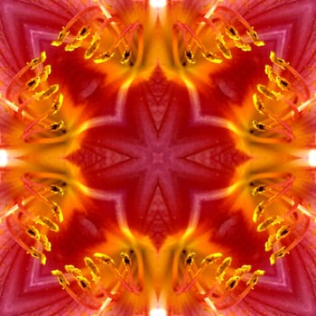 A seamless texture background pattern image of some flower petals.