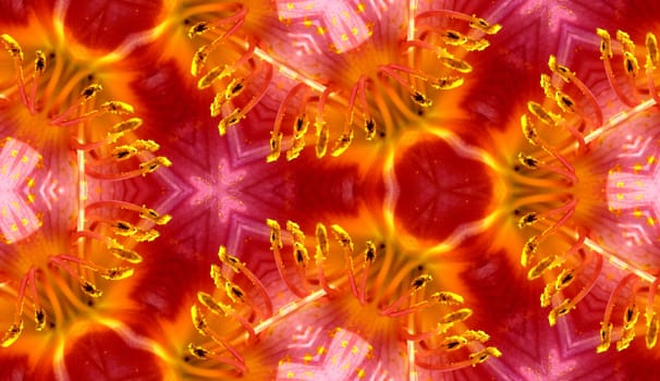 A seamless texture background pattern image of some flower petals.