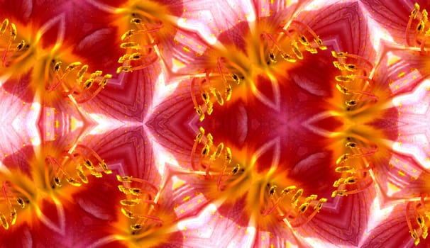 A seamless texture background pattern image of some flower petals.