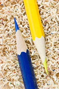 Blue and yellow wooden pencils in pencil shaving