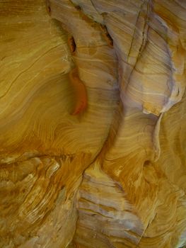 Yellow sandstone rock formations in sunlight at Zion National Park Utah
