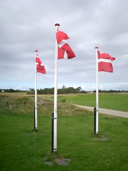 Three Denmark national flags. Picture took in denmark. 