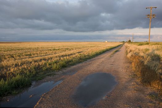 dirt farm road in Colorado after havy rain with harvested wheat fields in sunset light