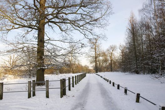 A footpath covered in snow with a fence