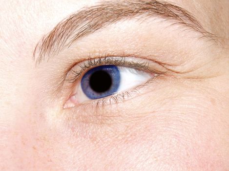 closeup of blue female eye