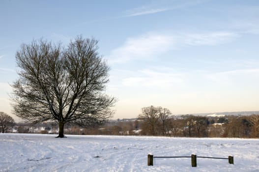 A field covered in snow with trees in the background