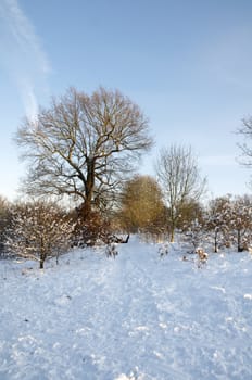 A field covered in snow with trees in the background