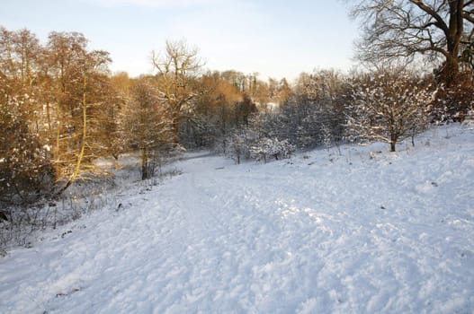 A field covered in snow with trees in the background