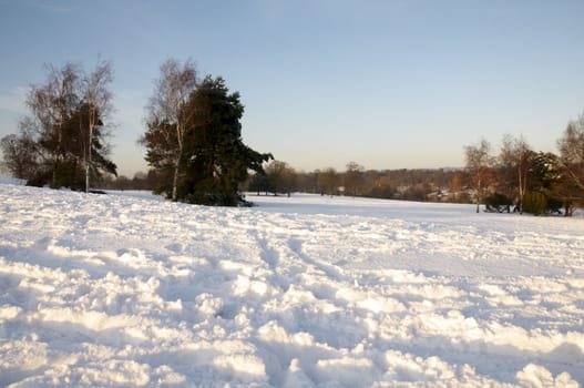 A view of a park covered in snow on the ground and trees