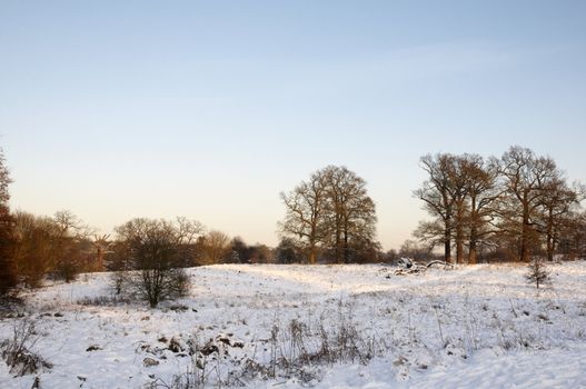 A view of a park covered in snow on the ground and trees