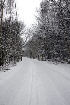 A footpath covered in snow with trees in the background