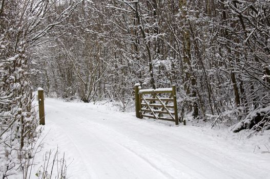 A gate on a country lane covered in snow