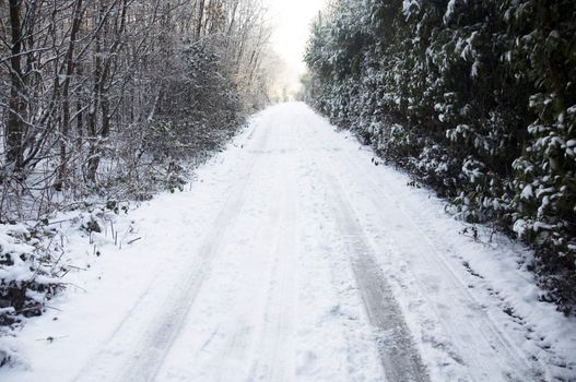 A road covered in a layer of snow