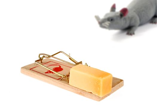 a mousetrap on white