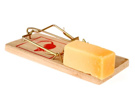 a mousetrap with some cheese