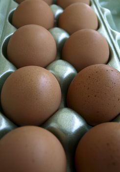 Box of eggs in closeup in their box