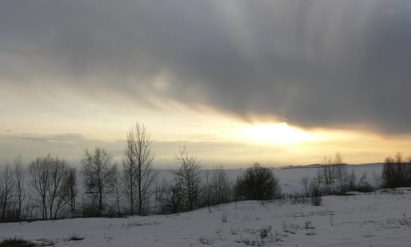 View of winter trees on snow landscape