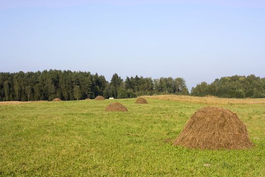 haystacks for hay meadow, against the backdrop of blue sky