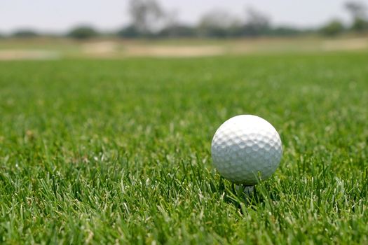 Close up of a golf ball on green lawn.