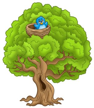 Big tree with blue bird in nest - color illustration.