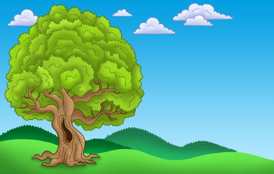 Landscape with big leafy tree - color illustration.
