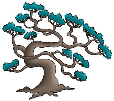 Old pine tree - color illustration.