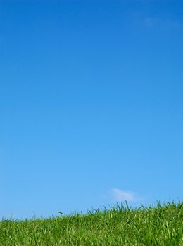 image of real grass on field against blue sky