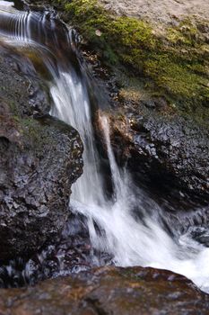 dark wet stone in stream of water