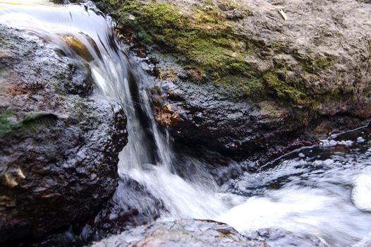 dark wet stone in stream of water