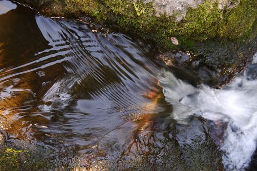 dark wet stone in stream of water